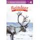 Reindeer: On the Move! (Penguin Young Readers, Level 4)