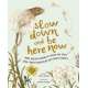 Slow Down and Be Here Now: More Nature Stories to Make You Stop, Look, and Be Amazed by the Tiniest Things - Book