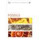 Smithsonian Handbooks: Fossils - Book