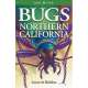 Bugs of Northern California