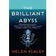 The Brilliant Abyss: Exploring the Majestic Hidden Life of the Deep Ocean, and the Looming Threat That Imperils It - Book