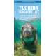 Florida Seashore Life: A Waterproof Folding Guide to Familiar Animals & Plants