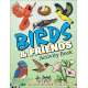 Birds & Friends - An Introduction to Backyard Birds for Kids - Activity Book