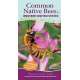 Common Native Bees of the Western United States - Book
