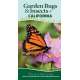 Garden Bugs & Insects of California:  Identify Pollinators, Pests, and Other Garden Visitors - Book