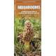 Mushrooms - A Folding Pocket Guide to Familiar North American Species - Laminated Pocket Guide