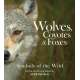 Wolves, Coyotes and Foxes - Symbols of the Wild - Book