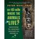 Do You Know Where the Animals Live?: Discovering the Incredible Creatures All Around Us - Book