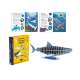 Fantastic Fearsome Sharks - Book - Paracay