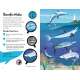 Fantastic Fearsome Sharks - Book - Paracay