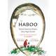 Haboo: Native American Stories from Puget Sound - Book