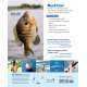 Let's Learn to Fish - Book - Paracay