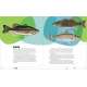 Let's Learn to Fish - Book - Paracay