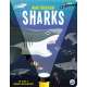 Magic Searchlight - Sharks - Book