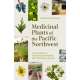 Medicinal Plants of the Pacific Northwest: A Visual Guide to Harvesting and Healing with 35 Common Species - Book