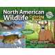 North American Wildlife Coloring Book for Young Outdoor Adventurers - Book