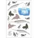 Ocean Anatomy Sticker Book - Book - Paracay