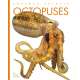 Octopuses - Book