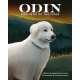 Odin, Dog Hero of the Fires