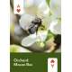 Pollinators of North America Playing Cards - Book - Paracay