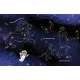 Reaching for the Stars - Book - Paracay