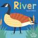 River - Now You See It! - Board Book