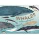 Whales: An Illustrated Celebration - Book