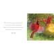 Why We Need Grandsons - Book - Paracay
