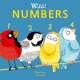 Wild! Numbers - Board Book
