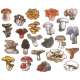 Mushrooms of the Redwood Region - Sticker Book - Paracay