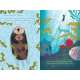 Over and Under the Waves - Book - Paracay