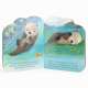 A Little Otter - Book - Paracay