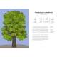 Arborama: The Marvelous World Of Trees - Book - Paracay