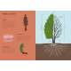 Arborama: The Marvelous World Of Trees - Book - Paracay