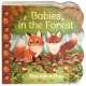 Babies in the Forest - Board book