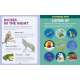 Backpack-Explorer-Night-Walk-What-Will-You-Find-Book