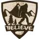 Believe Shield - Vinyl Sticker (1 STICKER)
