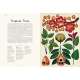 Botanicum: Welcome To The Museum - Book - Paracay