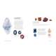 Crystals-Rocks-And-Gemstones-Book