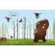 Does A Bear Poo In The Woods?  - Book - Paracay