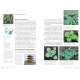 Edible Wild Plants, Volume 2 - Book - Paracay