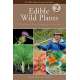 Edible Wild Plants, Volume 2: Wild Foods from Foraging to Feasting - Book