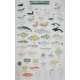 Mac's Field Guide to Alaskan Wildlife