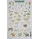 Mac'S Field Guide To Alaskan Wildlife - Book - Paracay