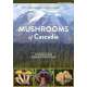 Mushrooms of Cascadia: A Comprehensive Guide to Fungi of the Pacific Northwest - Book