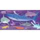 My First 100 Ocean Words In English And Spanish  - Book - Paracay