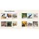 National Parks Of North America Amazing Animals - Book - Paracay