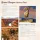 National Parks Of North America Amazing Animals - Book - Paracay