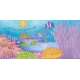 Ocean Wonders - Book - Paracay
