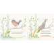 Papilio - Book - Paracay